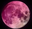 Superluna de Fresa 2022: fecha, hora y dónde verla