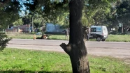 Denuncian que dos hombres faenaron un caballo al lado de la ruta "como si nada"