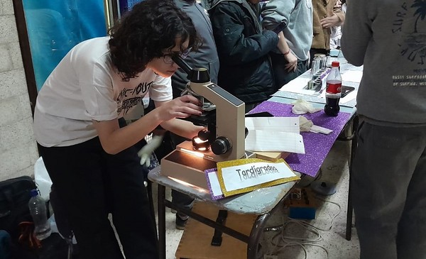 Se realizó una nueva edición de la Feria de Educación, Arte, Ciencias y ...