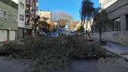 Por la caída, no hubo que lamentar heridos. Foto: 0223.