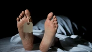 Escándalo en Harvard: cayó el exdirector de la morgue por vender cabezas, cerebros y huesos desde la facultad de medicina