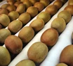 Productores locales proyectan comenzar a exportar los primeros kiwis con Indicación Geográfica a Europa
