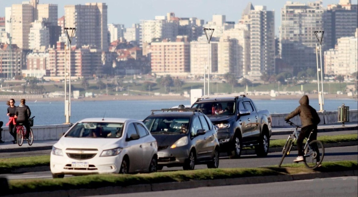 Esperan informes del Ejecutivo para avanzar con cambios en una estratégica rotonda de Mar del Plata