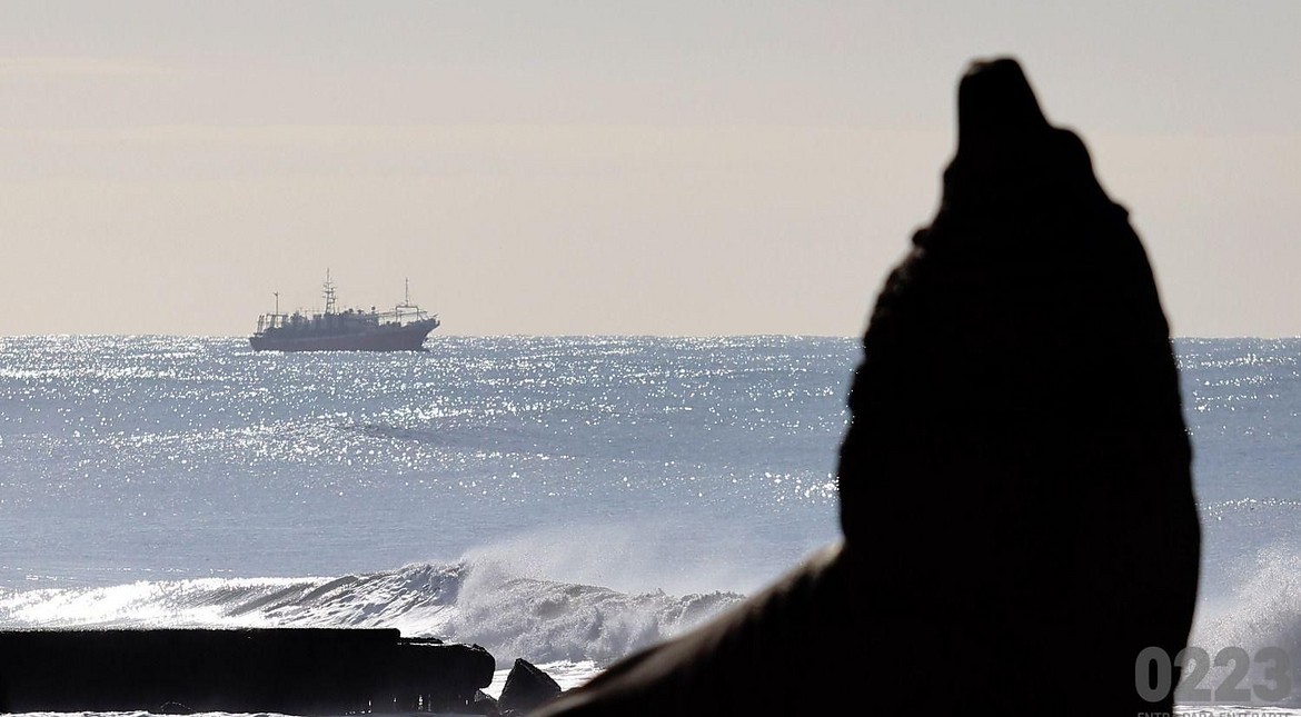 Sale el sol y sube la temperatura en Mar del Plata: cómo estará el clima hoy y los próximos días