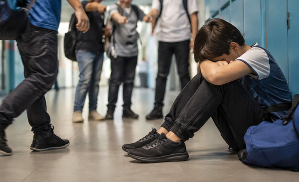 El Concejo evalúa multar a padres por bullying