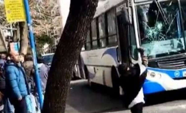 Pibes apedrean colectivo en MDP: locura y piedras voladoras