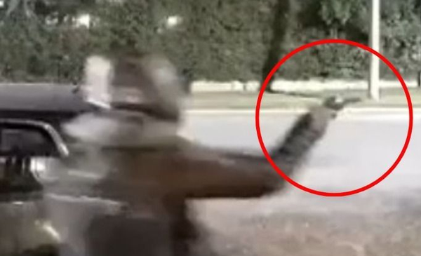 Terror in Divine Face: He got his son and a little company out of the car and was assaulted by armed motorboats