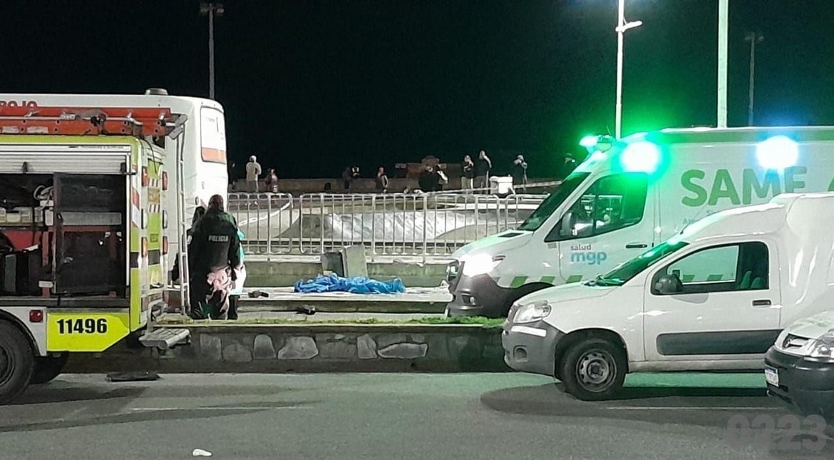 Tragedia del skatepark: una pericia determinó que el colectivo "no estaba apto" para el servicio