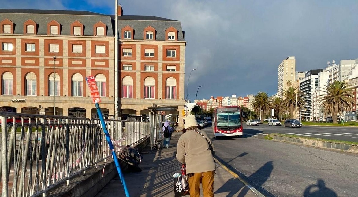 A dos meses de la tragedia del skatepark, buscan relevar el estado en el que circulan los colectivos