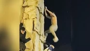 Video: así se accidentó un hincha al caer desde el Monumento a San Martín