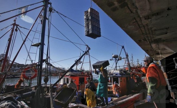 La pesca pegó un Joker en MDP: crisis de verdad