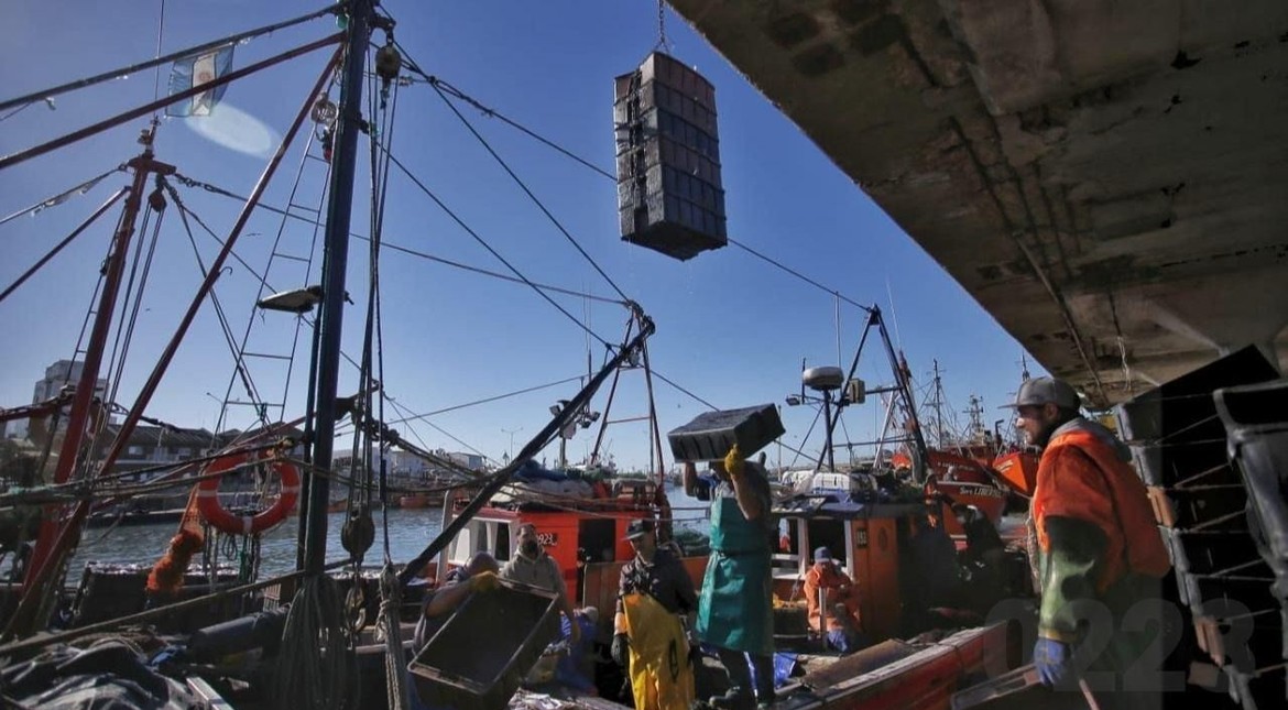 La actividad pesquera se desplomó 24,3% en mayo y profundiza la crisis del sector
