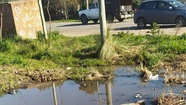 Vecinos del Barrio Jorge Newbery denuncian que viven entre desechos cloacales