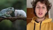 ¿Cara de rana o de rata? La desopilante teoría formulada por un tiktoker que se volvió viral