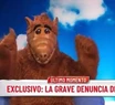 Alf acusó de plagio a Disney. 