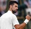 Djokovic y Alcaraz jugarán la final en Wimbledon