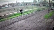 El ladrón efectuó los disparos en su huida, mientras el repartidor lo perseguía a toda velocidad.