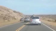 La temeraria maniobra fue realizada en un tramo de doble línea amarilla.