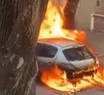 Tras la huida, los ladrones prendieron fuego el auto en el que escaparon del banco.