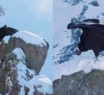 El espectacular video de un cóndor en la nieve