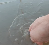 El frío no da tregua: hasta los charcos se congelan El frío no da tregua: hasta los charcos se congelan