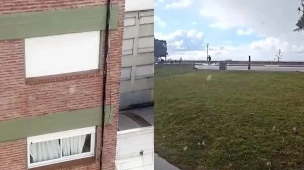 Frío extremo: ¿cayó nieve o graupel en Mar del Plata?