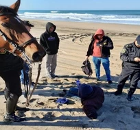 Hallan al hombre que se ausentó de su casa en Miramar Hallan al hombre que se ausentó de su casa en Miramar