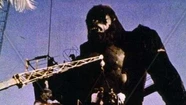 ¿Tenés una foto con King Kong en Mar del Plata? Podés ser parte de un documental ¿Tenés una foto con King Kong en Mar del Plata? Podés ser parte de un documental