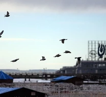 Llega el día más frío de la semana: así sigue el tiempo en Mar del Plata Llega el día más frío de la semana: así sigue el tiempo en Mar del Plata