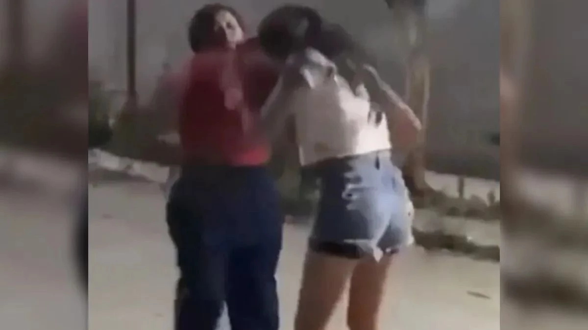 Desconocida y alcoholizada: entró violentamente a una casa y golpeó a una menor