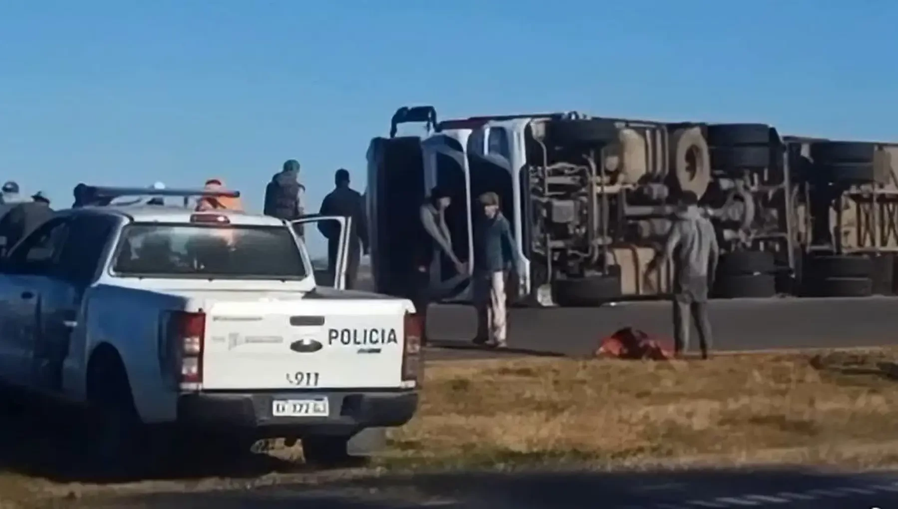 Volcó un camión con cerdos en y los vecinos los carnearon en plena ruta