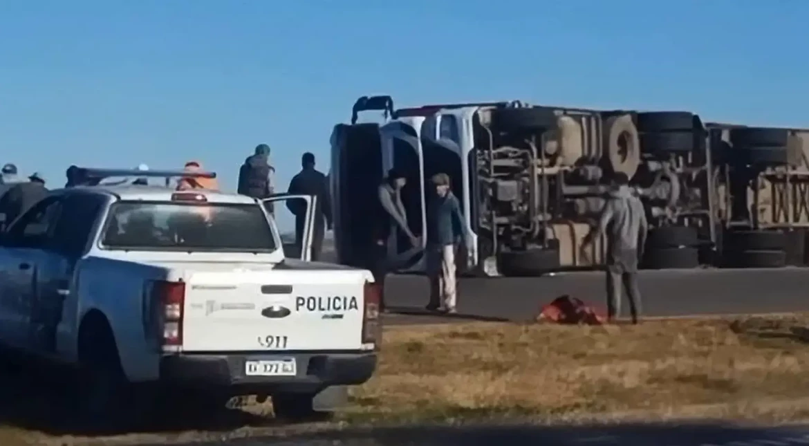 Volcó un camión con cerdos en y los vecinos los carnearon en plena ruta