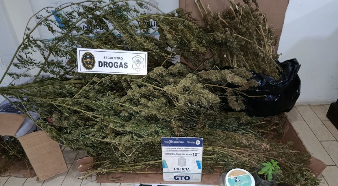 Se metieron en una casa a los tiros y golpearon en el rostro a un hombre