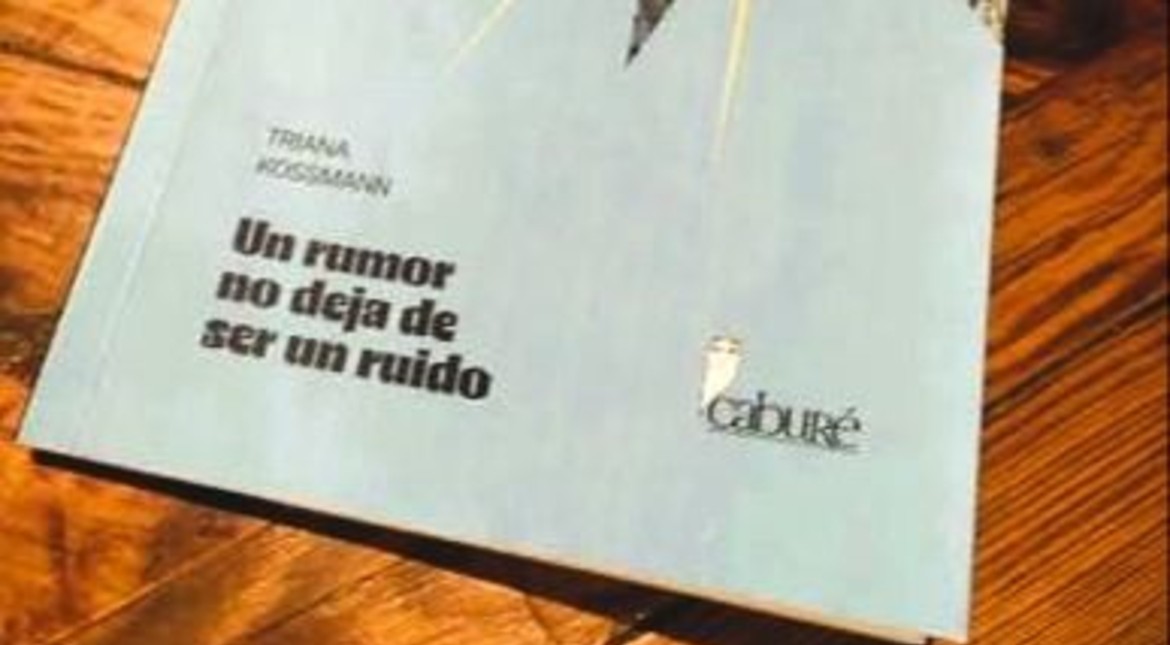 Un rumor no deja de ser un ruido: un anti-policial marplatense