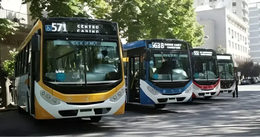 Colectivos en Mar del Plata: cómo funcionarán durante el partido de Argentina