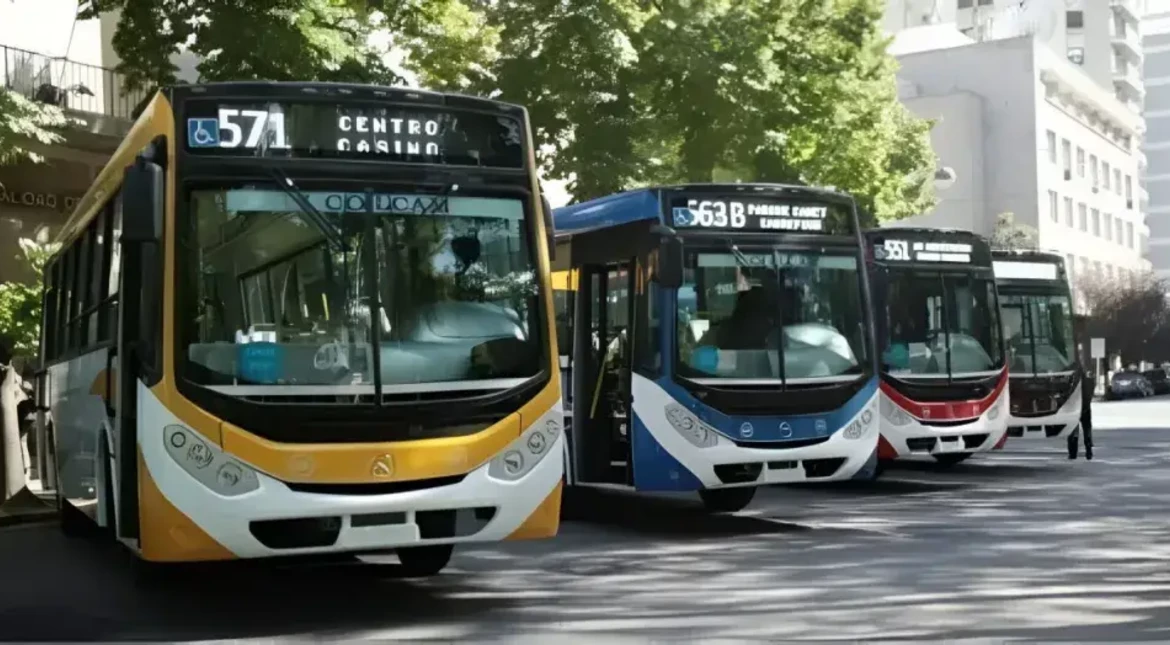 Colectivos en Mar del Plata: cómo funcionarán durante el partido de Argentina
