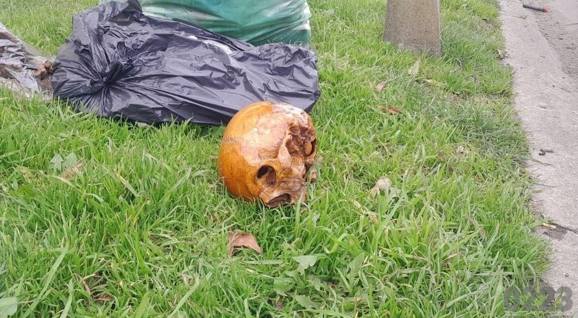 Macabro hallazgo: una mujer descubrió un cráneo y restos óseos tras bajar del colectivo
