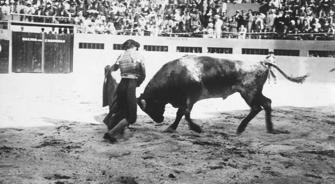 Pedro Barrera Elbal: el torero español que inauguró la fallida plaza de toros de Mar del Plata