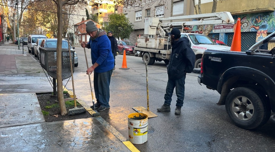 El Municipio retira cordones y carteles clandestinos que vecinos colocan para reservarse el estacionamiento en la calle