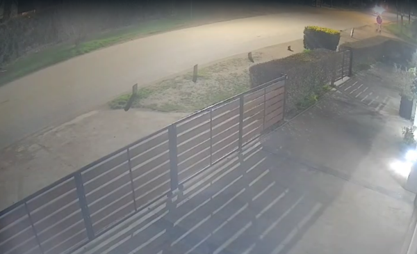 Trabajó todo el verano para comprarse una moto y se la robaron con un culatazo en la cabeza: "Todavía la estoy pagando"