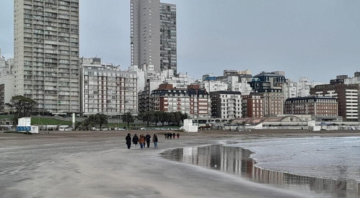 Encontraron una zapatilla de Adriana Terenzi y la familia vuelve a rastrillar mientras esperan el ADN