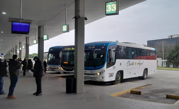 Quietud en la terminal: ¿adiós a las vacaciones en micro?