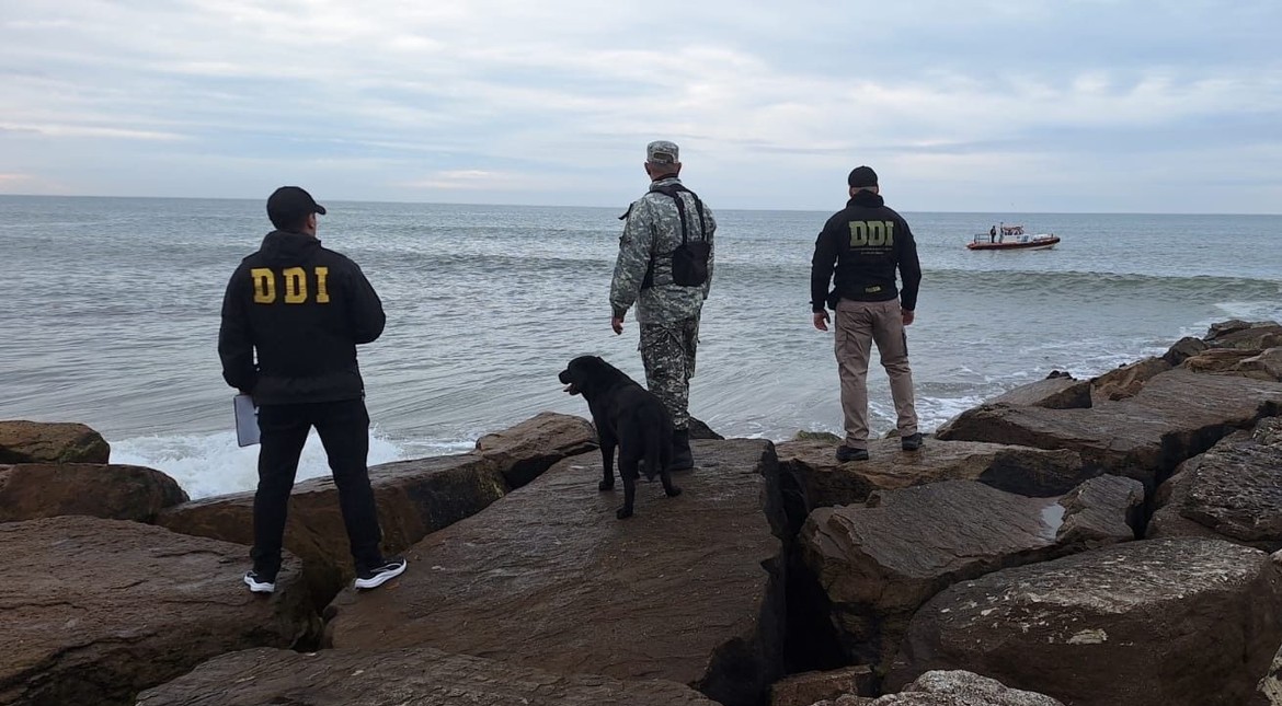 Hallaron restos humanos en la costa y buscan determinar si pertenecen a Adriana Terenzi