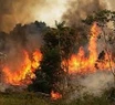 El incendio en el Amazonas llegó a Perú, Bolivia y Ecuador