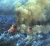El humo del voraz incendio en el Amazonas llegará a Mar del Plata