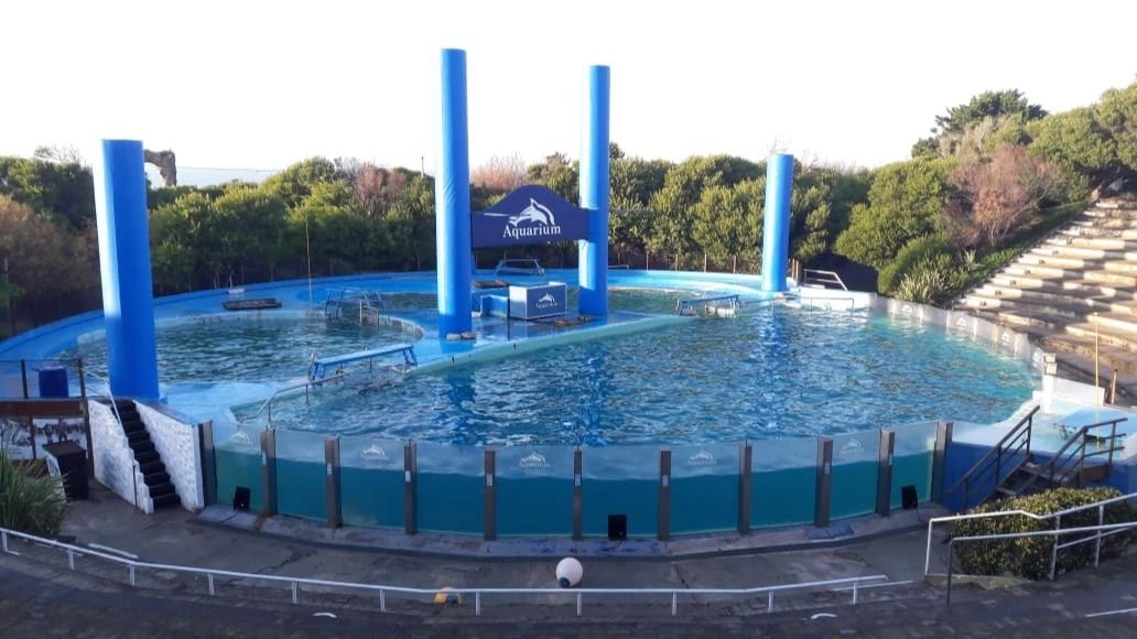Aquarium cerrará de manera definitiva el 31 de marzo. Foto: 0223.