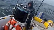 Delfines en Chapadmalal: salieron de pesca y tuvieron una grata compañía