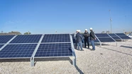 Obras Sanitarias será distinguida como empresa "climáticamente inteligente". Foto: Prensa Osse