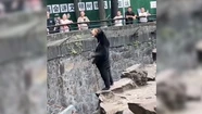 Un zoológico de China aclaró que sus osos no son humanos disfrazados 