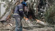 Intensa labor de distintas áreas municipales. Foto: prensa MGP.